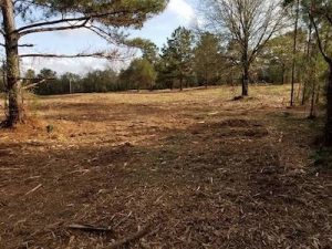 Image: Sons of David - Forestry Mulching