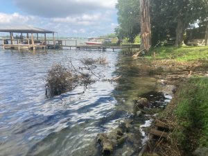 Image: Lakefront Clearing by Sons of David Land Services Florida