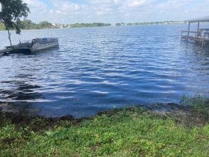 Image: Lakefront Clearing by Sons of David Land Services Florida