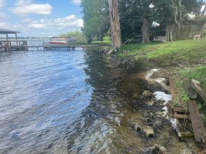 Image: Lakefront Clearing by Sons of David Land Services Florida