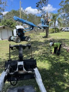 Image: Tree Removal by Sons of David Land Services Florida