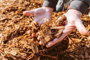 How Forestry Mulching Clears Your Property Without Creating Any More Hassle