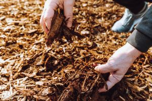 How Professional Forestry Mulching Can Help You Make Your Property Clear for Your Next Project clear soil tree